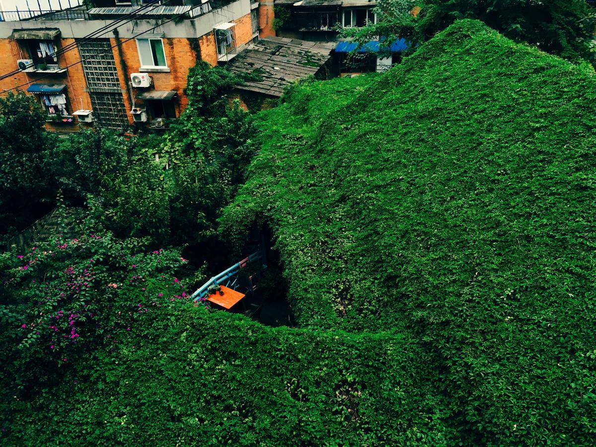 Hello Chengdu International Youth Hostel Εξωτερικό φωτογραφία